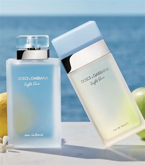 cheapest dolce gabbana light blue.